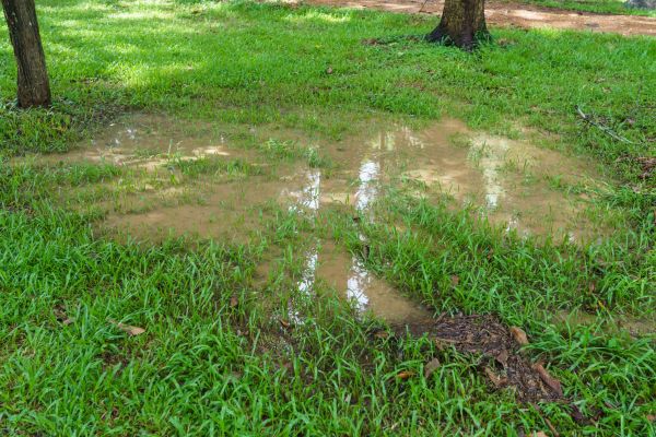 Cost of Storm Water Drainage Service in Lafayette