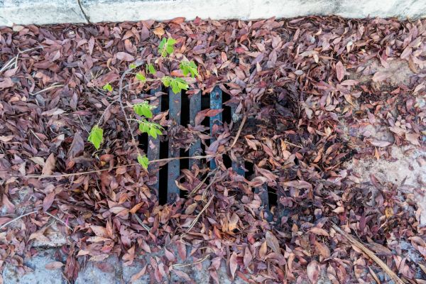 Cost of Yard Drain Unclogging in Lafayette