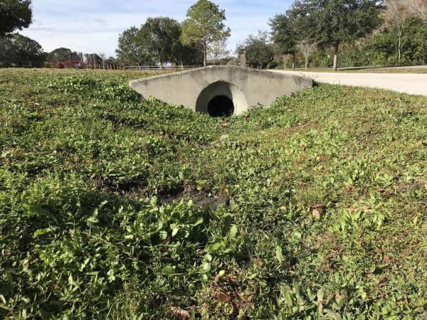 Cost of Swale Drainage Service in Lafayette